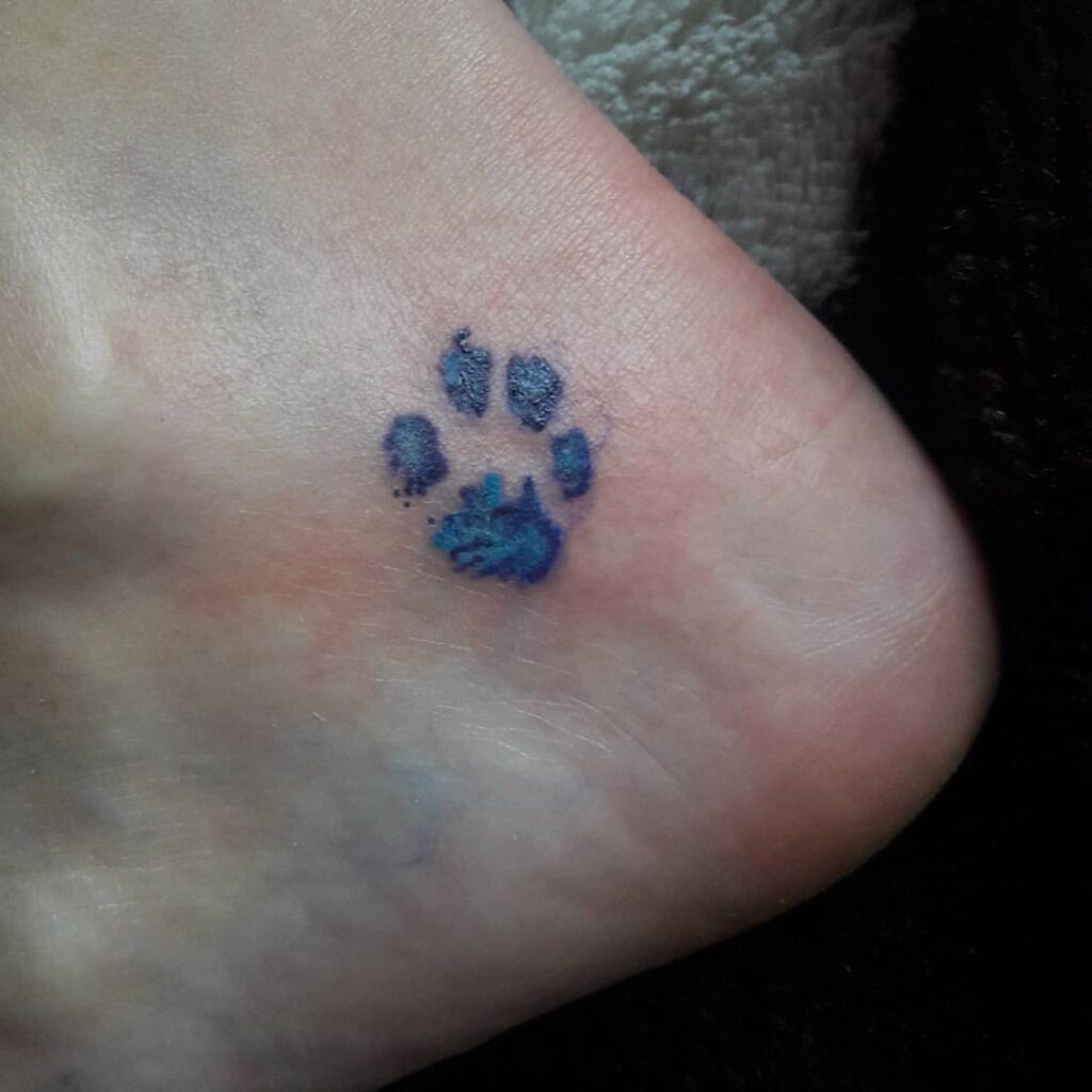 A blue paw print on the ankle 