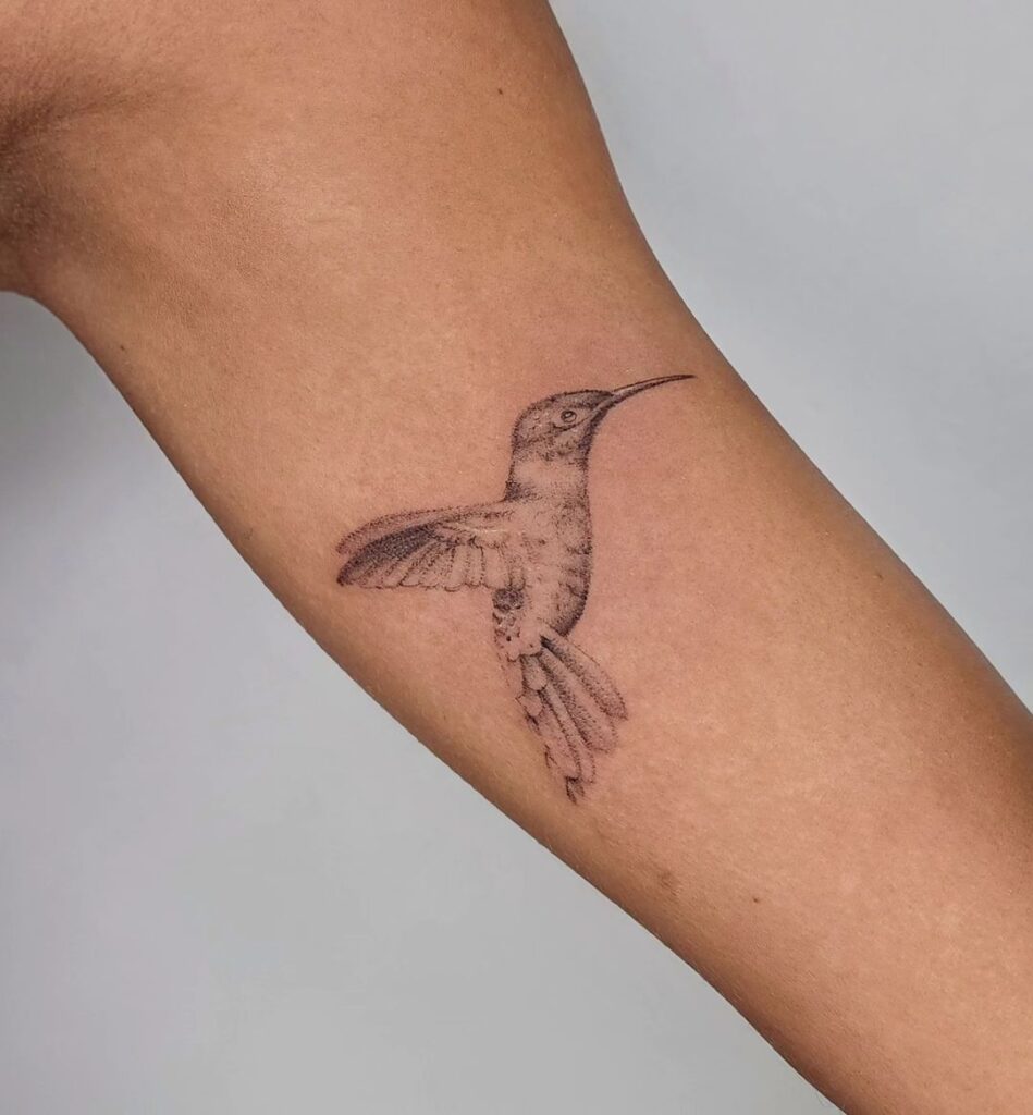 A dotwork hummingbird tattoo 