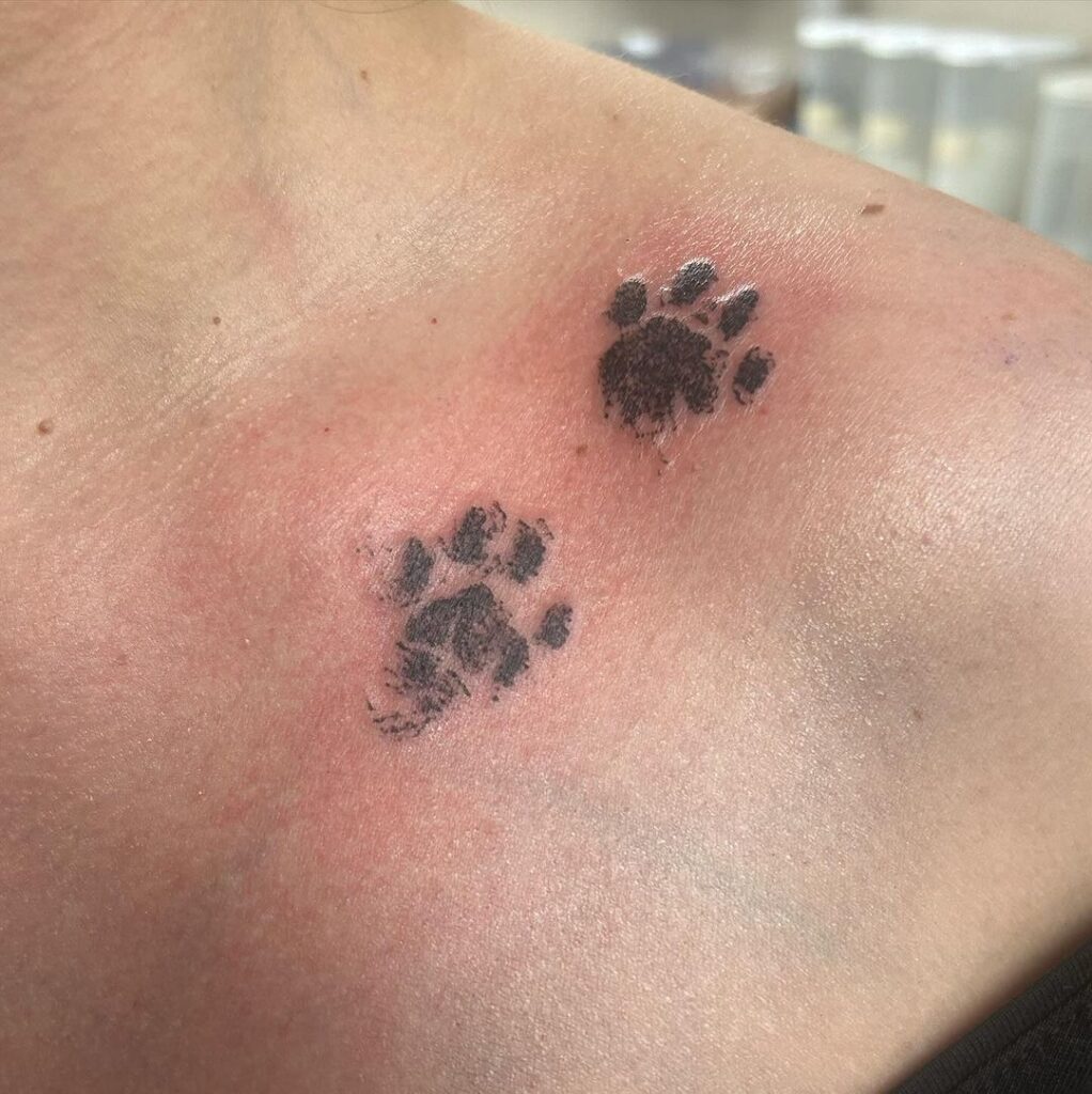 A paw print tattoo on the collarbone