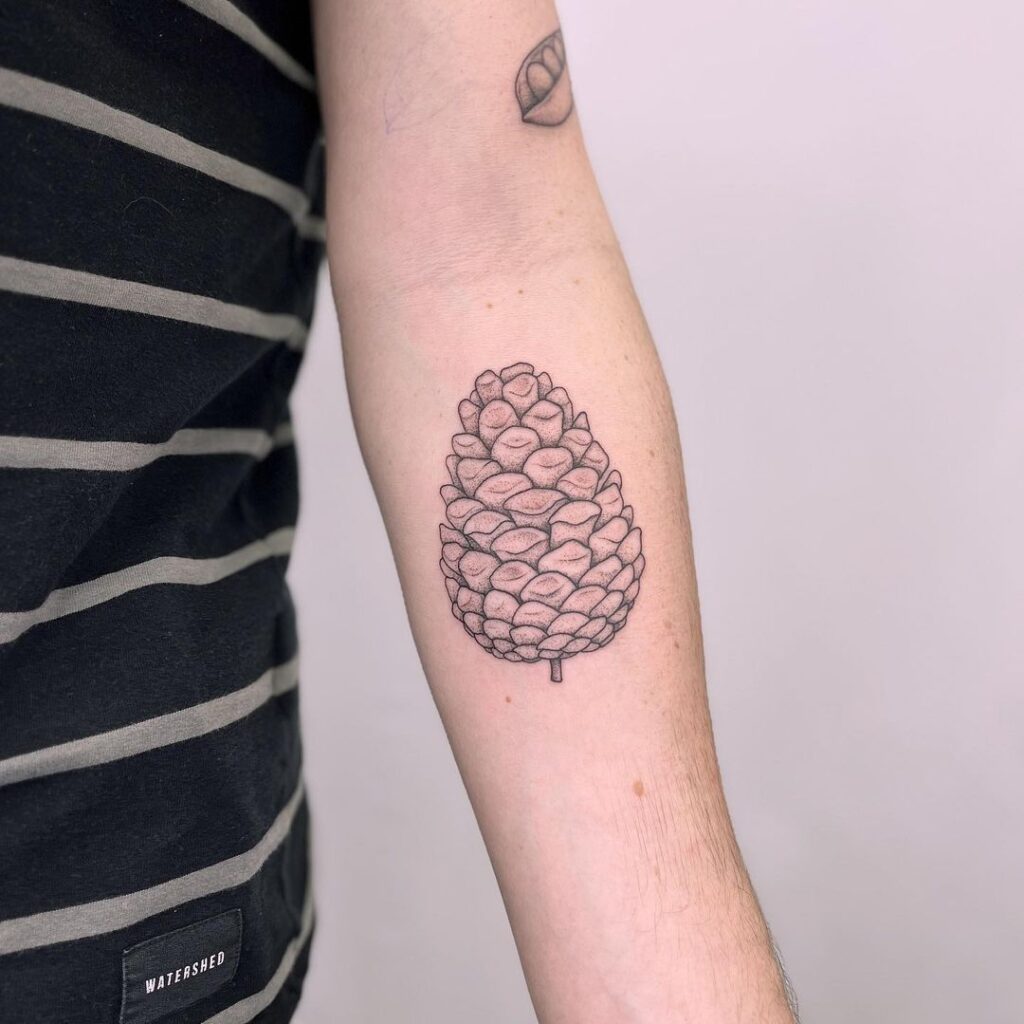 24 Magnificent Pinecone Tattoo Ideas To Celebrate Nature