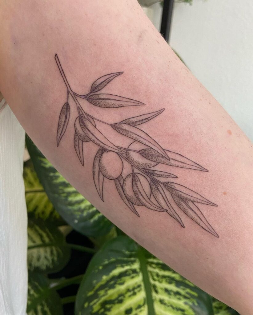 Meaning Of Olive Branch Tattoo With 23 Must-See Ink Ideas